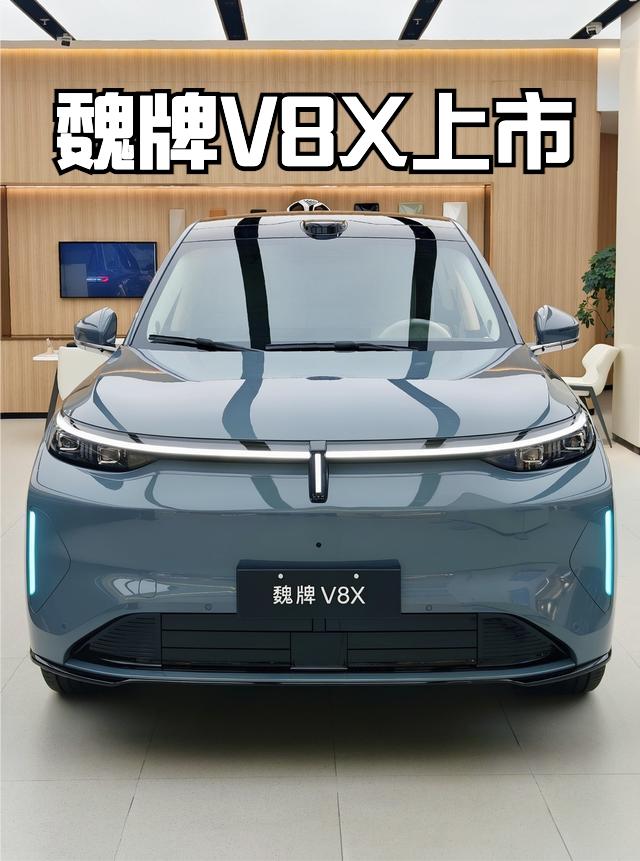 继魏牌V9X之后，魏牌V8X正式上市，限时权益价22.68-30.28万元。
其