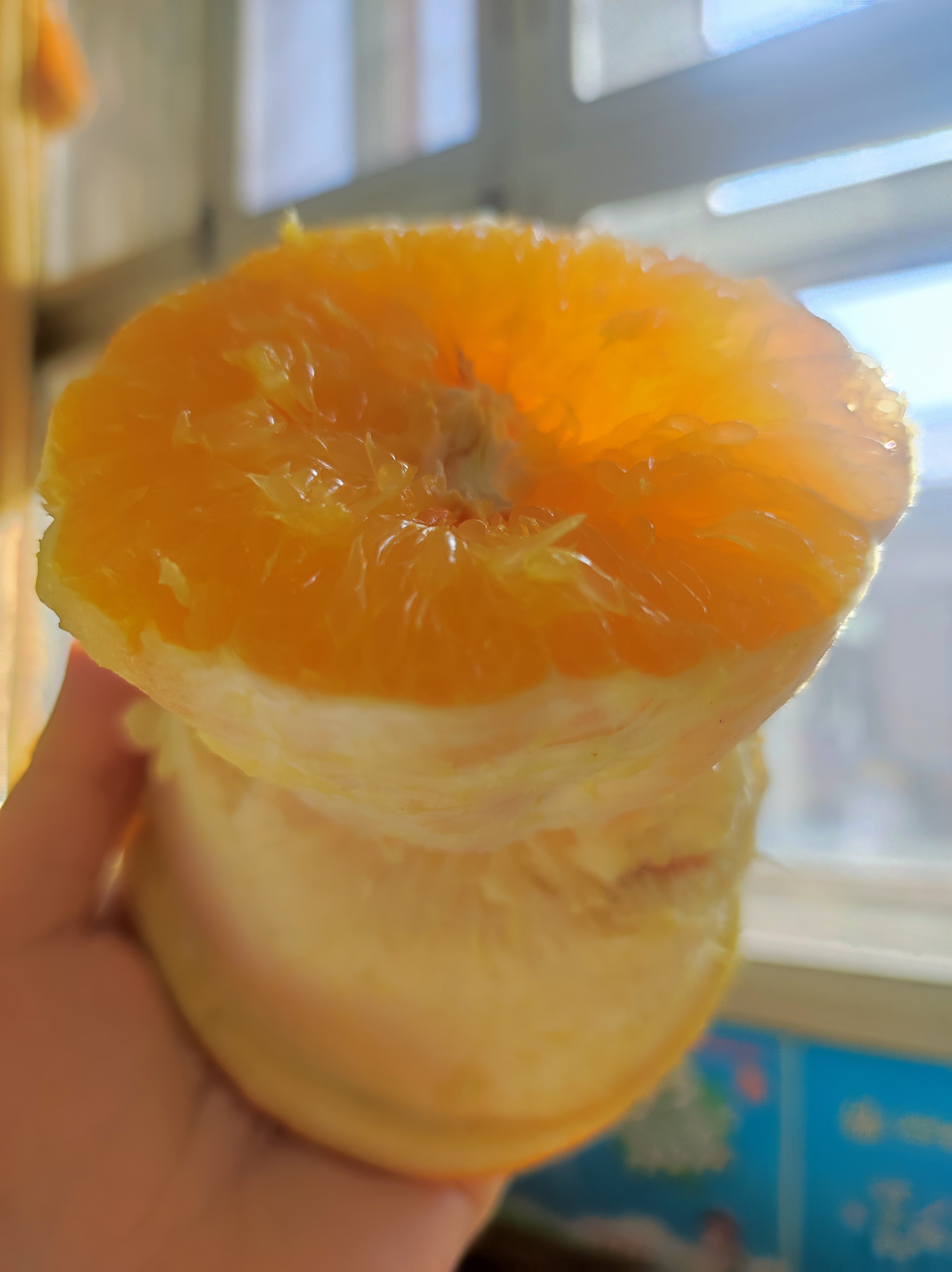 奖杯🍊布丁菜菜的小日记