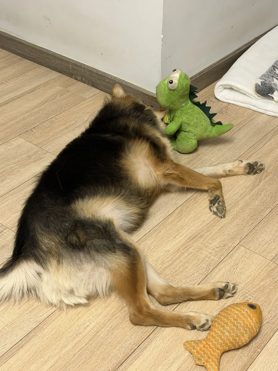 虽然我倒下了  但我的小恐龙站起来了！