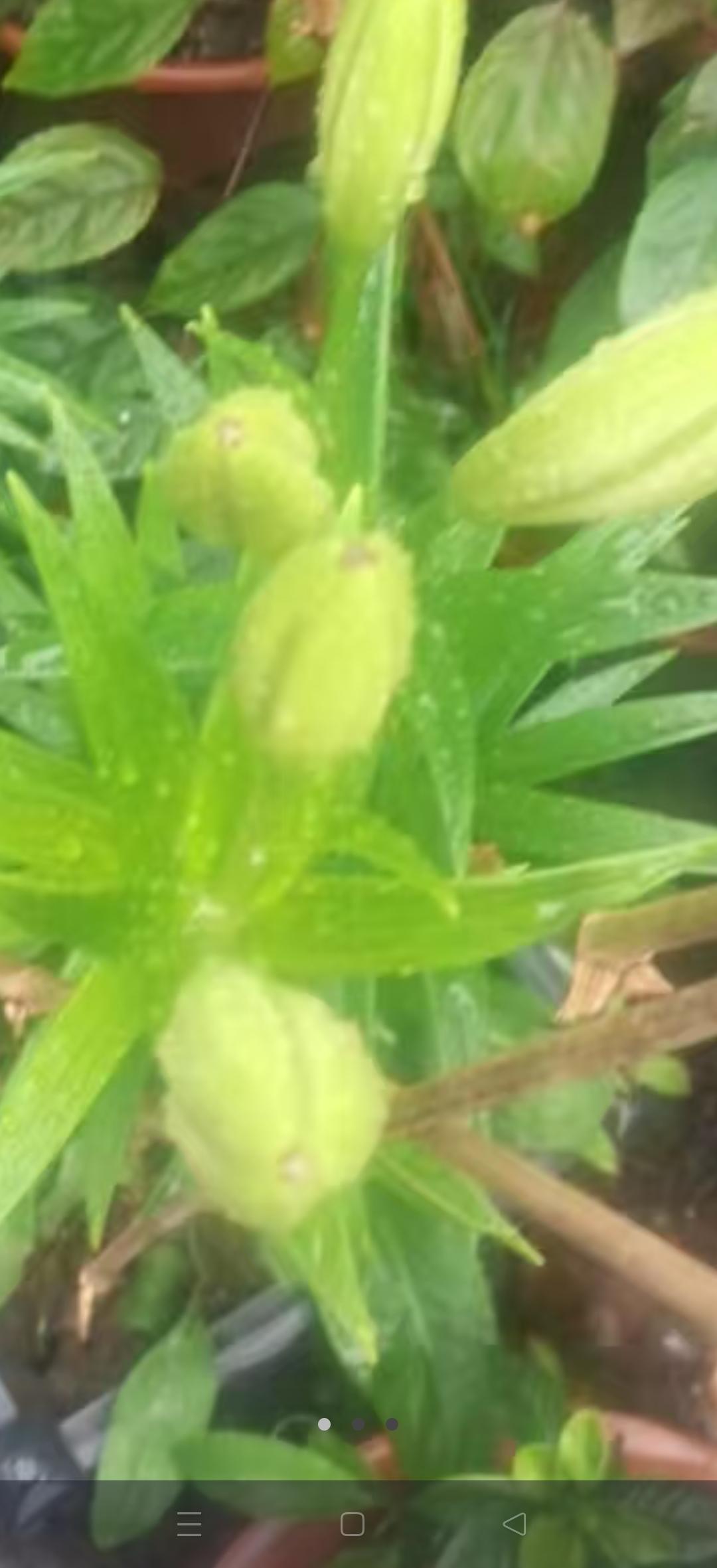 人活一辈子，到底啥才真正属于自己？很多人拼命追逐名利、财富，觉得有了这些就有了全