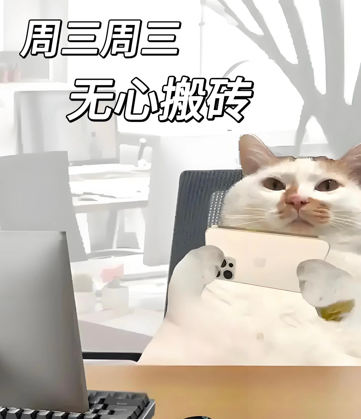 早上蚝～过了小年就是年，是不是已经无心搬砖了？大家哪天休息呀？年终奖都发了没？早