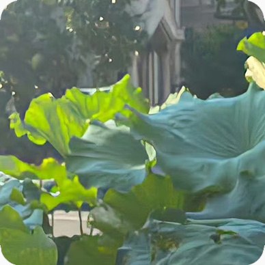 每日一善[超话]阳光信用｜每日一善善良，是一颗种子，是一种修行，是一种品质，也是