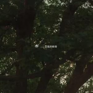 直播间里零星飘过的 “主播早点睡” 弹幕尚未完全消散，林晚晚只觉得后颈一阵剧烈的