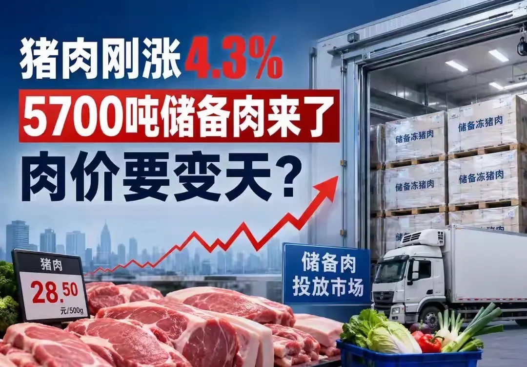 国家这次投放5700吨储备冻猪肉，根本不是要把猪肉价格砸下来，而是给整个市场发了