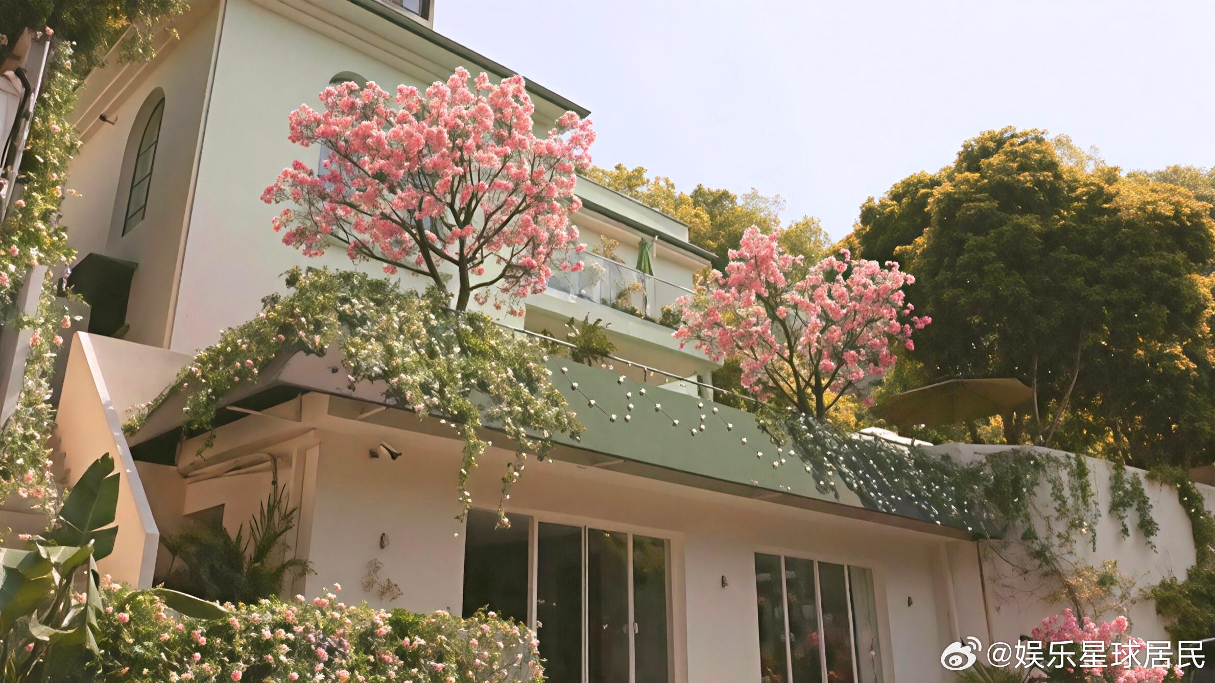 浙江文旅喊话魏哲鸣郑合惠子浙江文旅这波太聪明了！抓住魏哲鸣郑合惠子的热播剧，把江