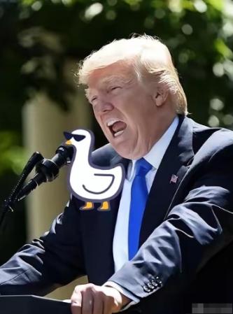 美国承认了
4月7号这一天，美军自己站出来承认了一件事，他们说，已经对伊朗发动了