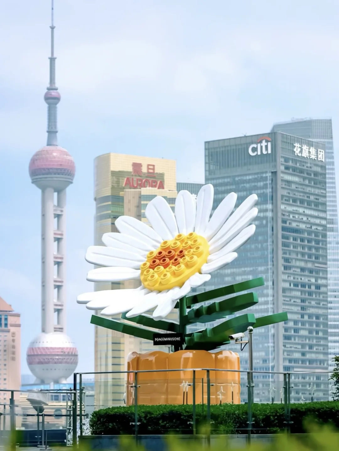 来魔都感受审美积累