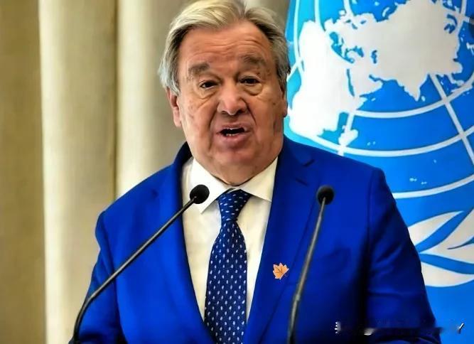 我国正式向联合国递交申请！
 

1月16日，我国向联合国秘书长古特雷斯递交申请