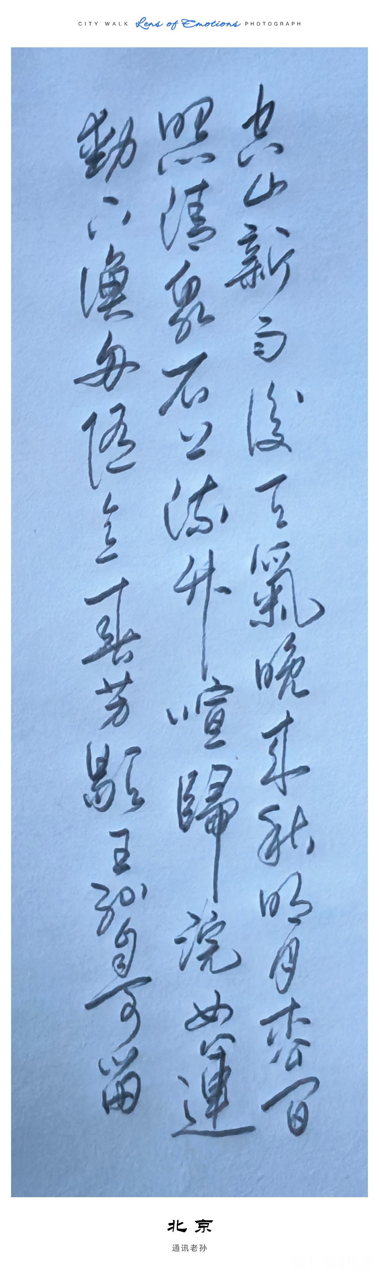 空山新雨后，天气晚来秋。明月松间照，清泉石上流。竹喧归浣女，莲动下渔舟。随意春芳