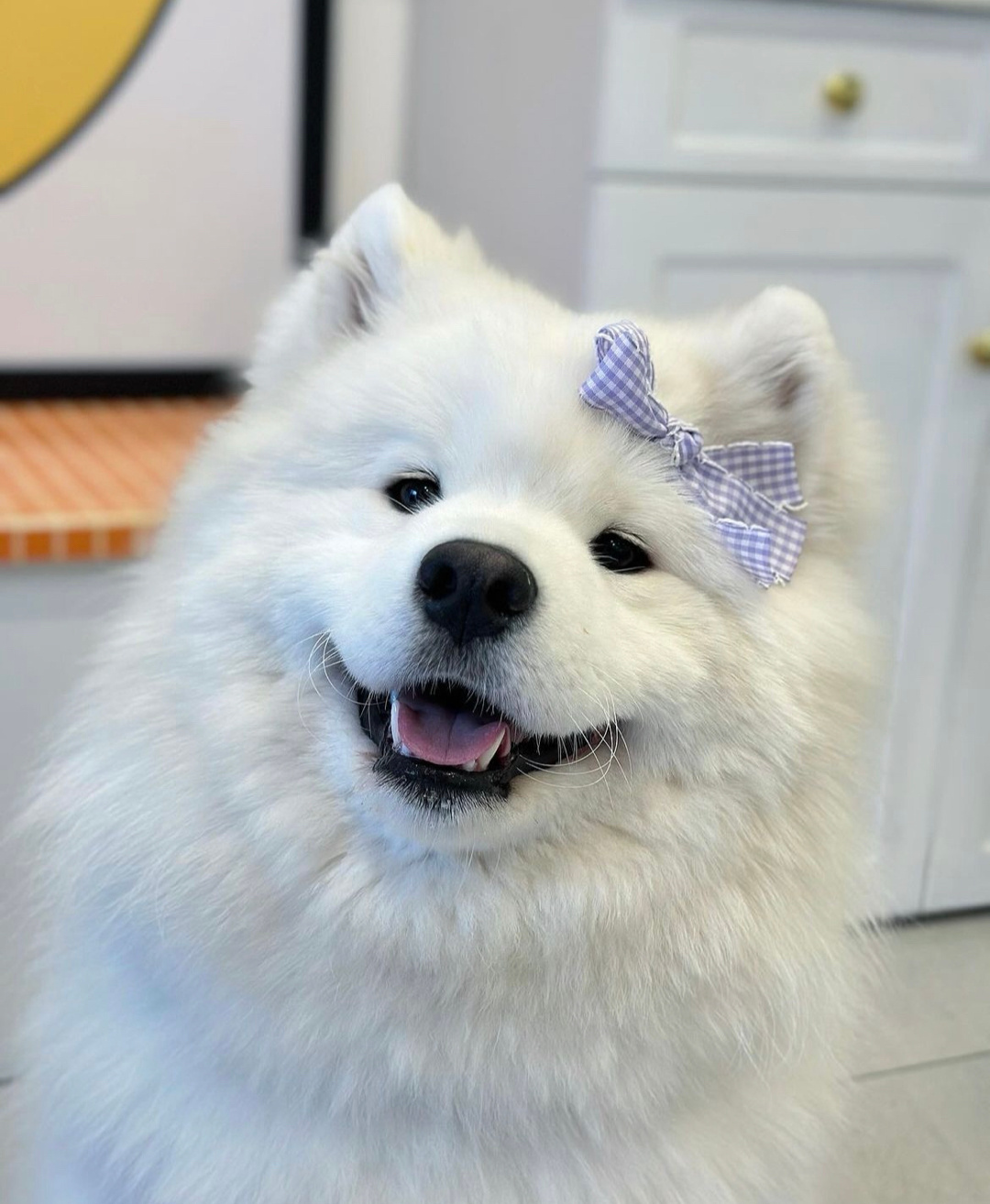 看！妈妈给我买的新发夹！ 