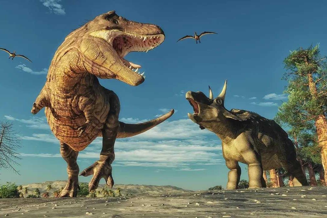 特朗普真实目的原来是要代替联合国！
特朗普摊牌了！白宫记者会上一句“可能会”，彻