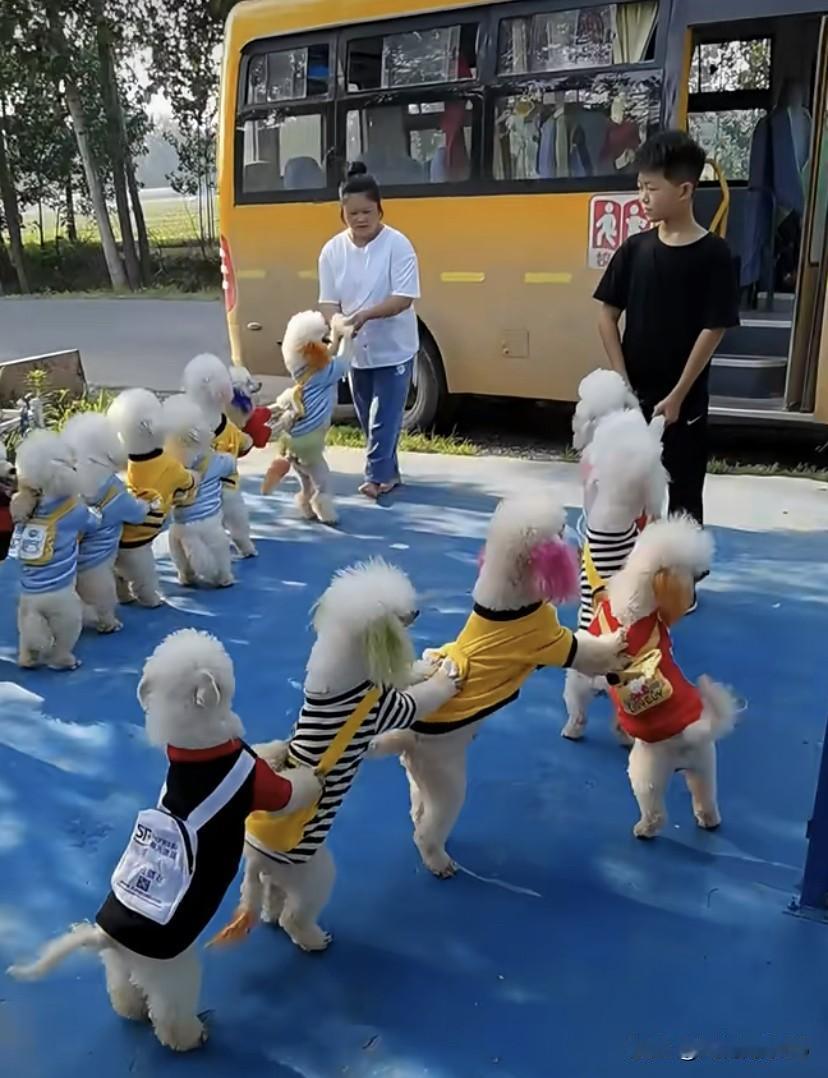 是世界变化太快，让我们感到陌生，还是它确实颠覆了我们的认知？我们解决温饱问题不过