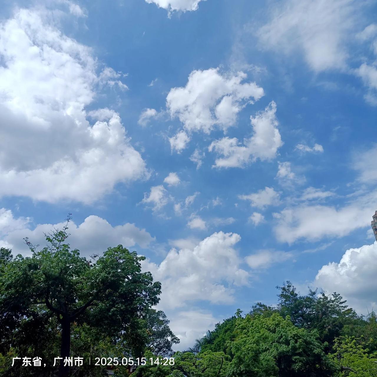 最美天空照片分享下午送娃上学后拍的照片，蓝天白云特别治愈。虽然气温有点高，31℃