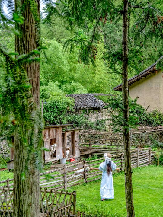 🌿 泰顺｜浙南秘境·800年古村徐岙底全攻略🌿