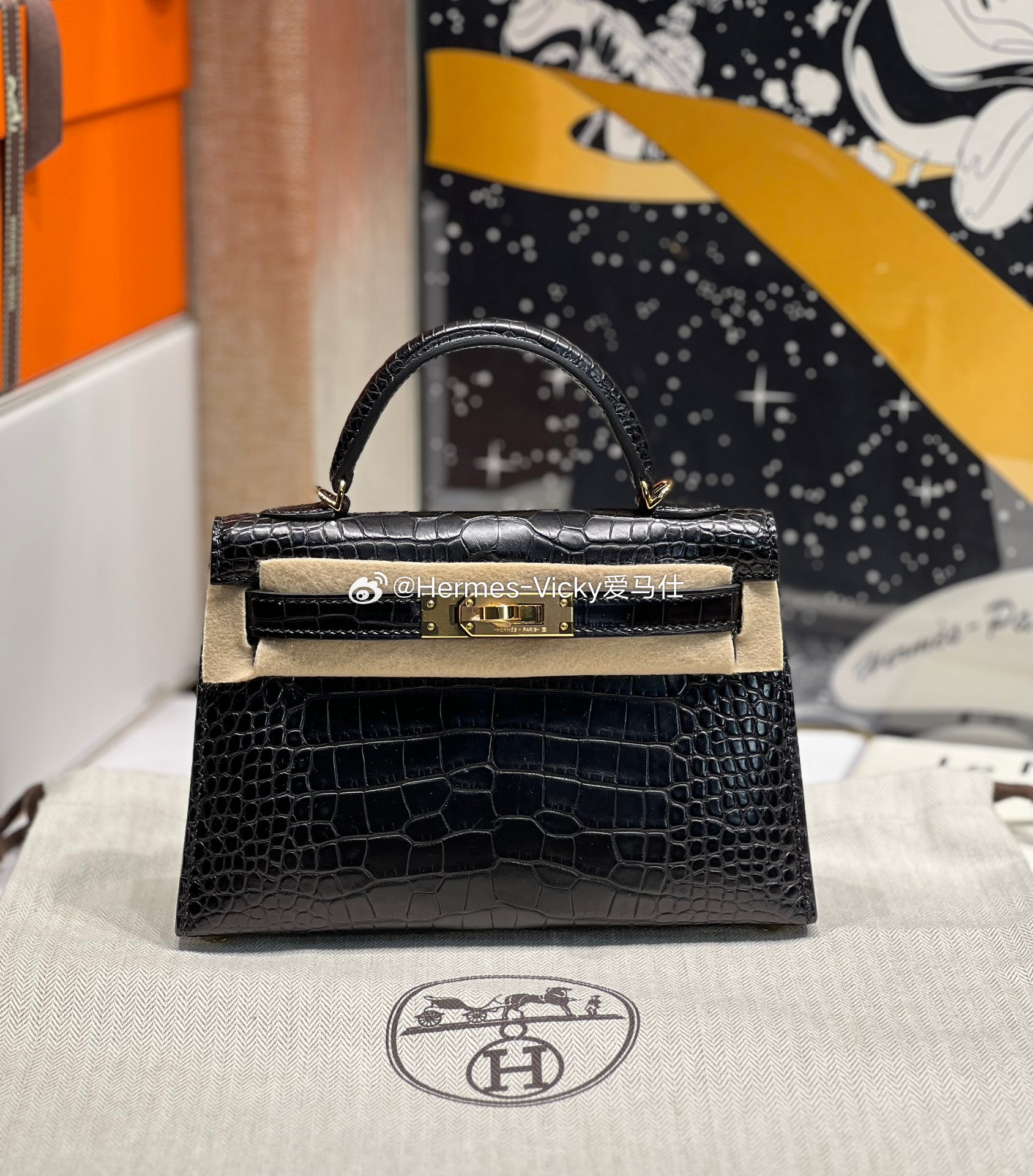 Mini Kelly 二代89 Noir 黑色 雾面鳄鱼皮金扣 