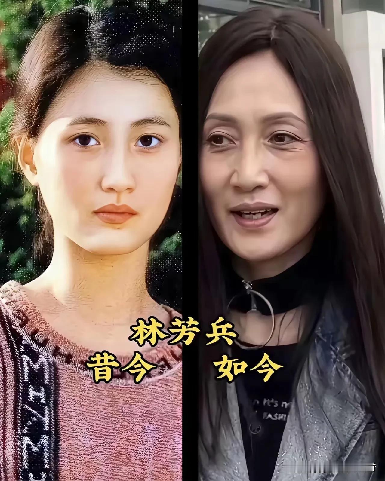 15位曾经风情万种的女神，你更喜欢谁呢？


我个人更喜欢林芳兵和何赛飞。

