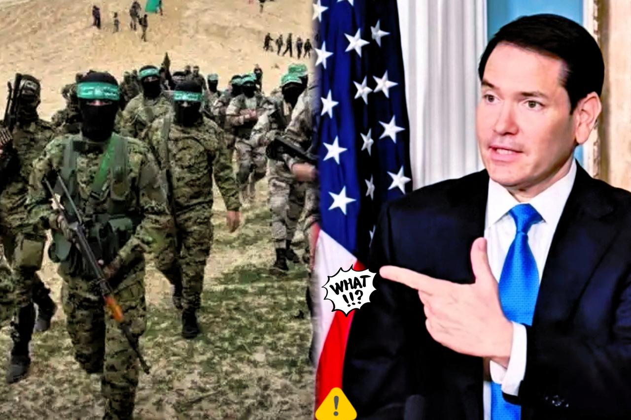 快讯！

美国的所谓“和平”，不过是加沙困境的遮羞布

18日，美国国务院发布声