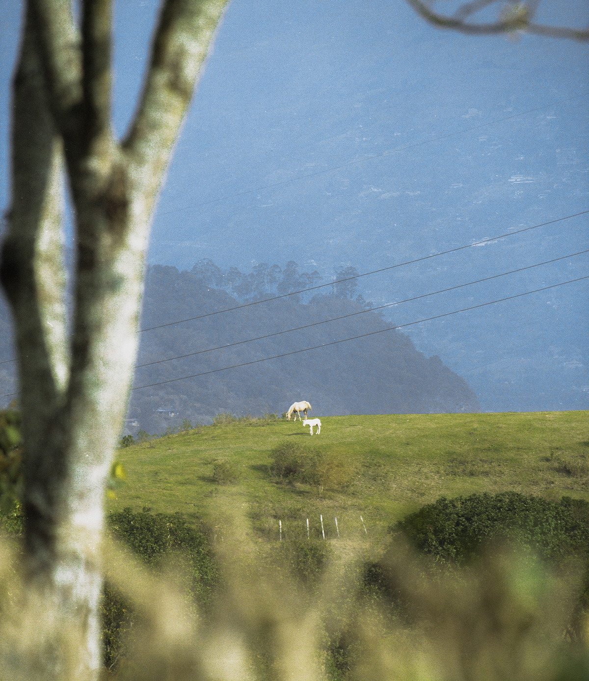 如果是理性触碰到某种极限了，感性则能够突破它；如果是感性触摸到某种限制了，理性就