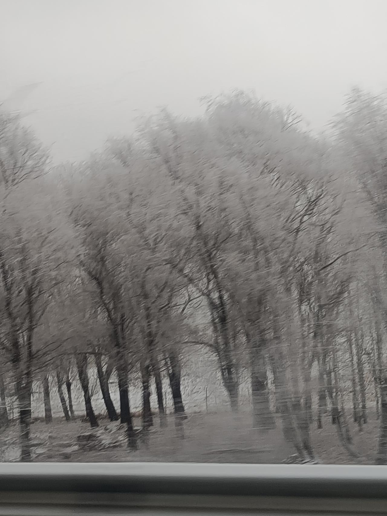 昨天下了点小轻雪，今天竟然有树挂了，东北这两年也不下大雪了，很少有树挂。可惜的是
