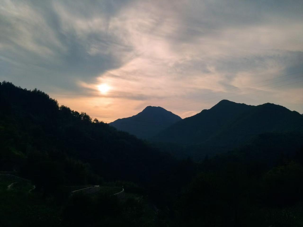 分享一下你随手拍下的照片夏日，骄阳似火，唯有躲在树荫下才能享受片刻的清凉。夏日的