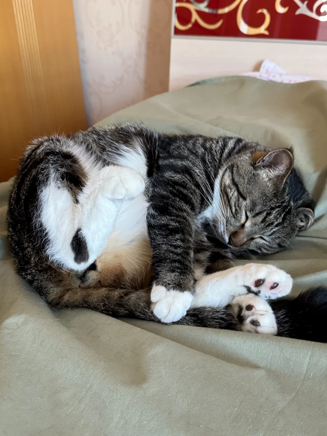 就这么水灵灵翘着小脚睡着了