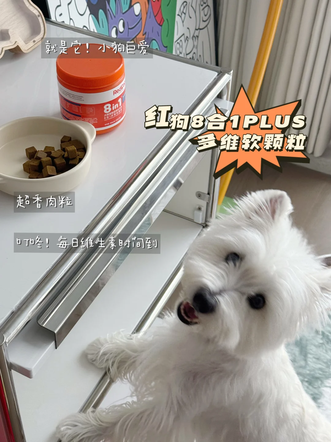 什么狗狗维生素啊 我狗天天抢着吃!!?