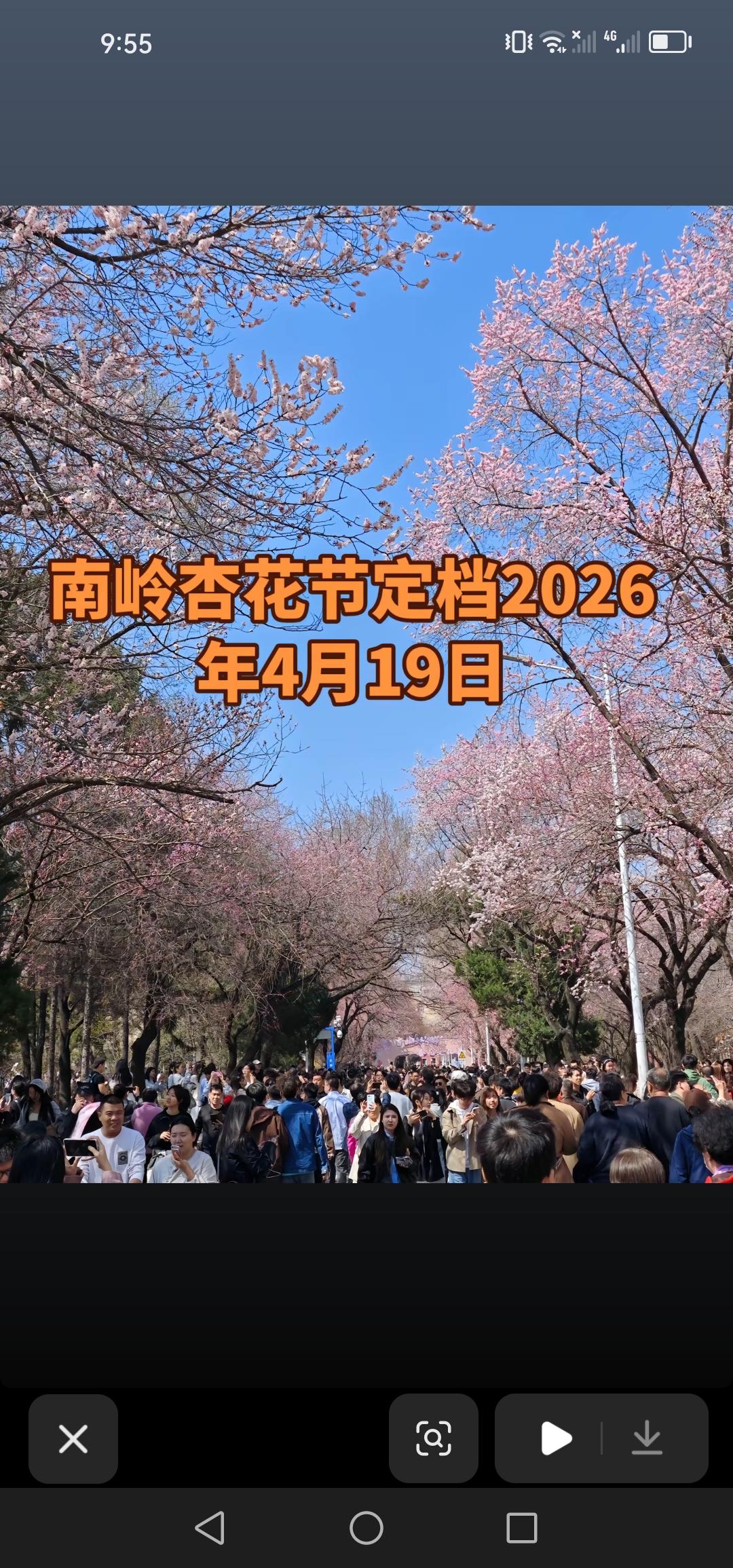 4月19日，长春市2026年南岭杏花节将正式启幕，你准备好了吗？
阳春四月，又到