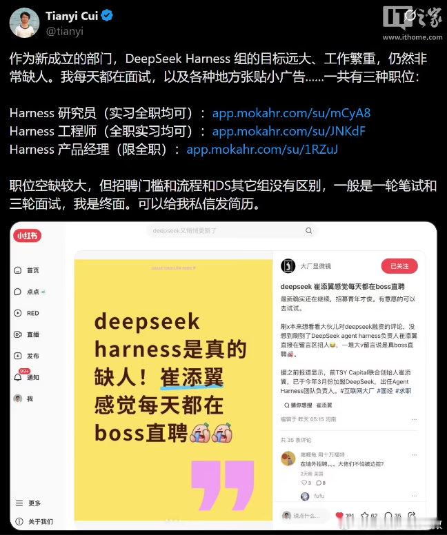 【DeepSeek崔添翼回应不招外国人质疑：需要能用中文工作，没有不招外国人的规