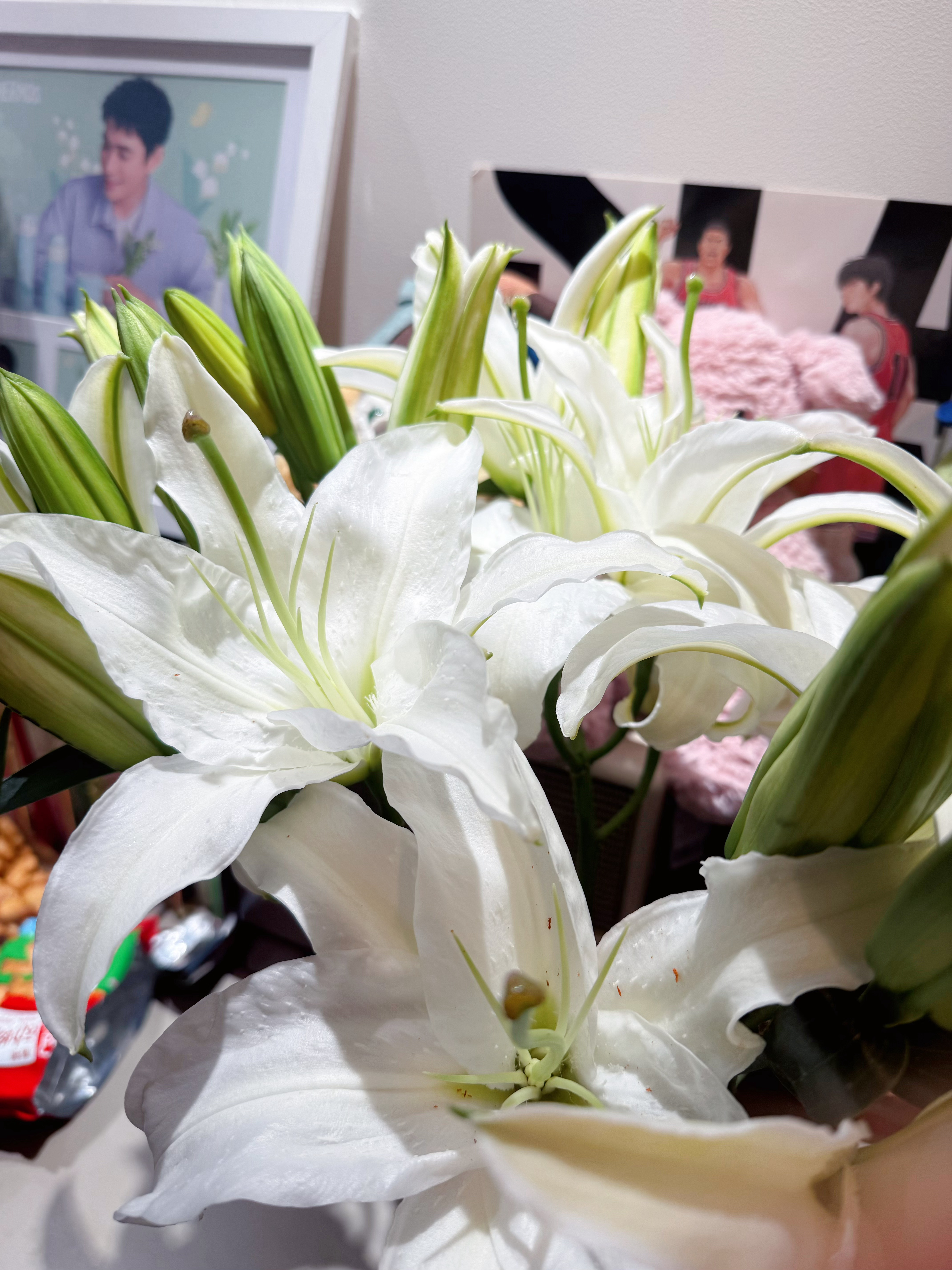 捡漏3.9，5枝20头，被我养活了，笑死😆 ​​​