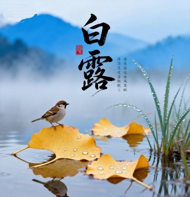今日白露，"早白露，冻死老牛；晚白露，单衣过九"
要说今年这秋冬啊，最贴切的形容