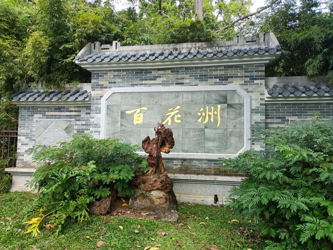 西湖秀景/百花洲西湖桃花季 西湖游山玩水 西湖花境 西湖醉美露台