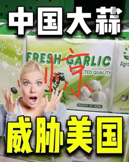 中国大蒜成美国“国家安全威胁”？离谱背后，藏着美式霸权的焦虑！
 
谁能想到，咱