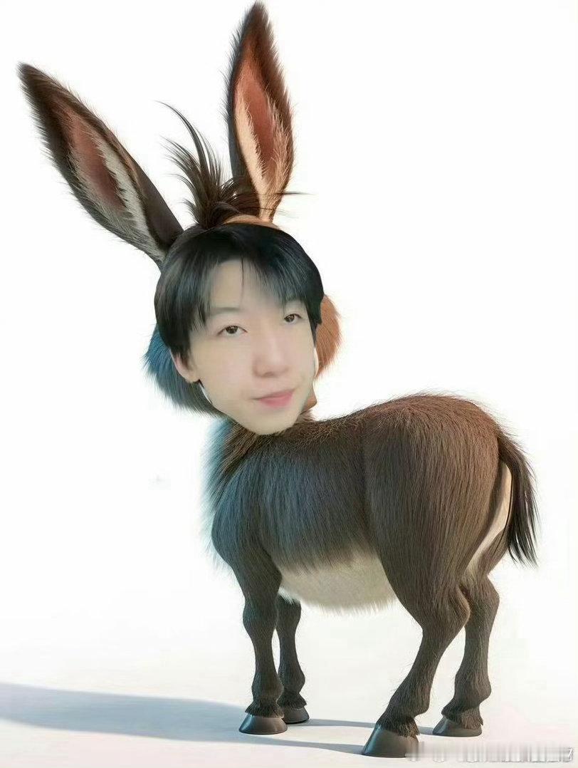 杨博文四代驴永一 