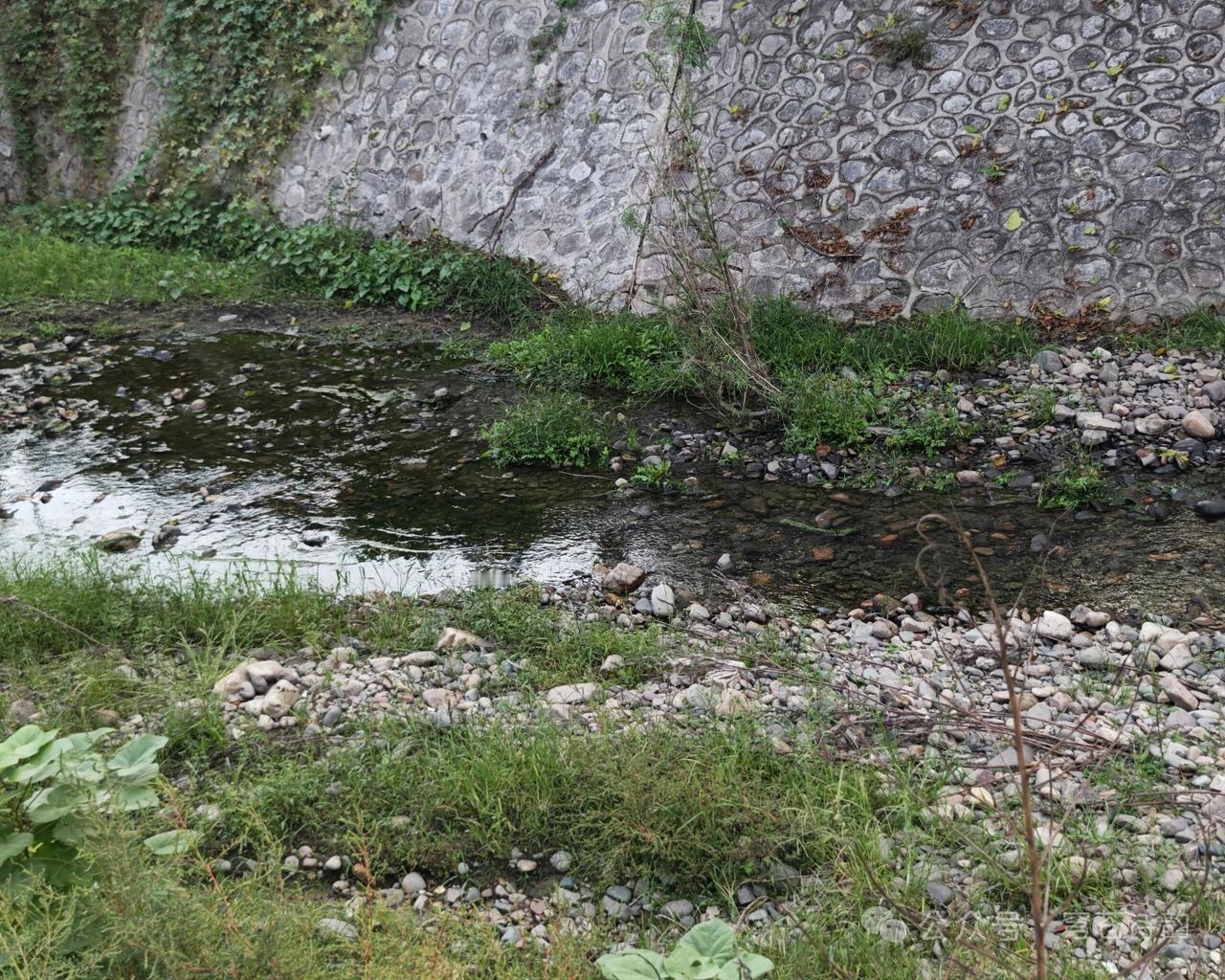 天净沙·河沟
沟渠水浅源幽，
旱时流细如绸。
力弱犹将用酬。
调容长守，
此生无