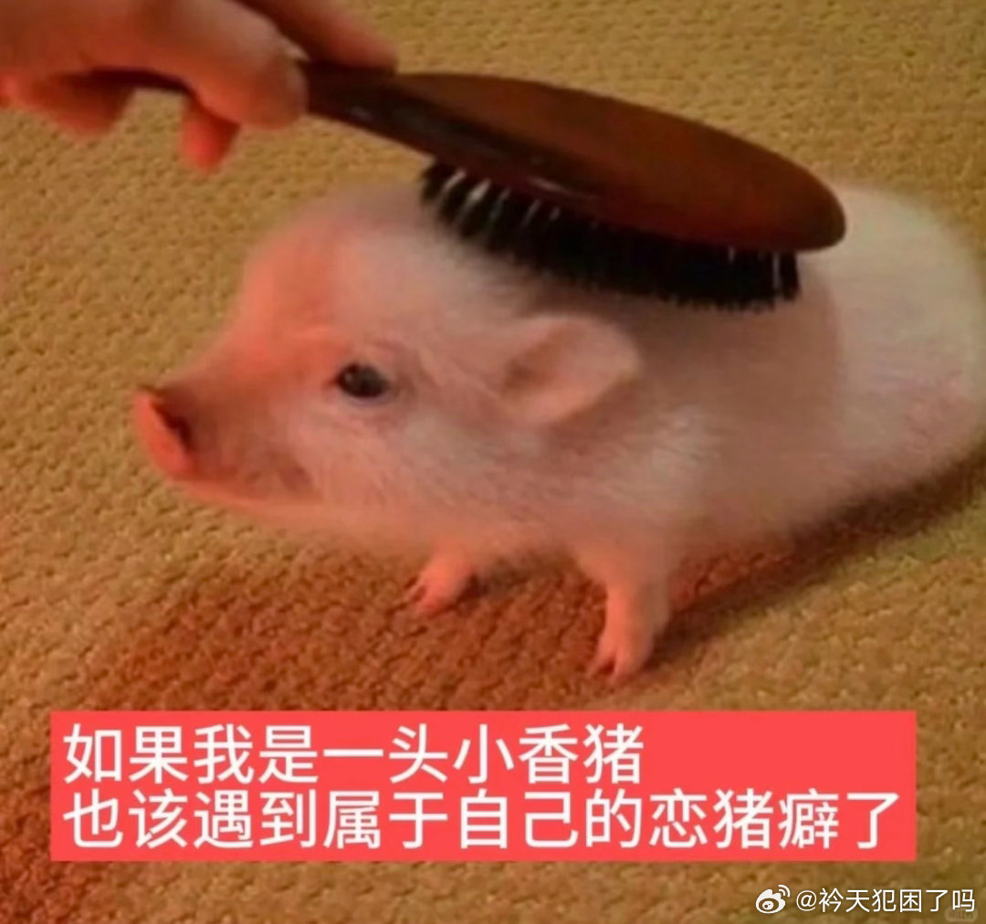 大家好刷的到我吗？刷到请动动 ​​​