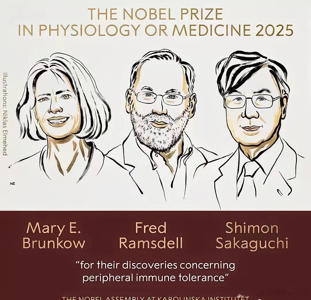 诺奖24:1，日本科技真的碾压中国？2025诺贝尔奖开始，中国科学家会挂0，日本