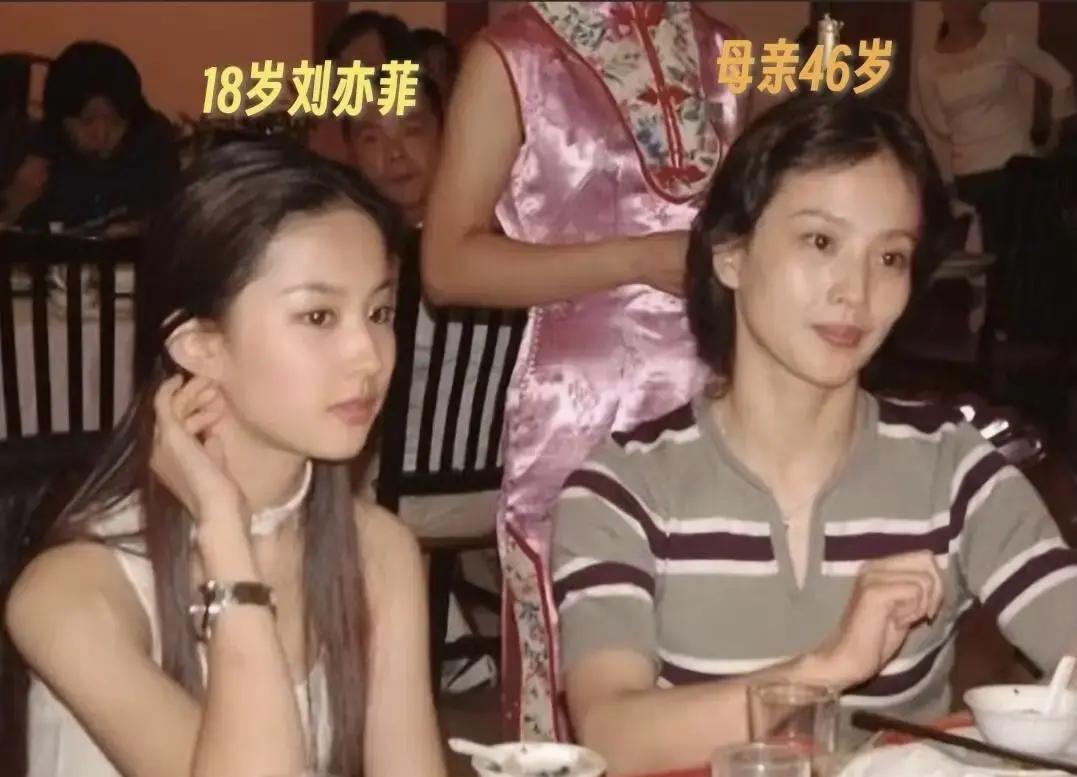 别再争论刘亦菲和她妈谁更美了。你们吵错了整整四十年。
 
真正的差距，不在五官。