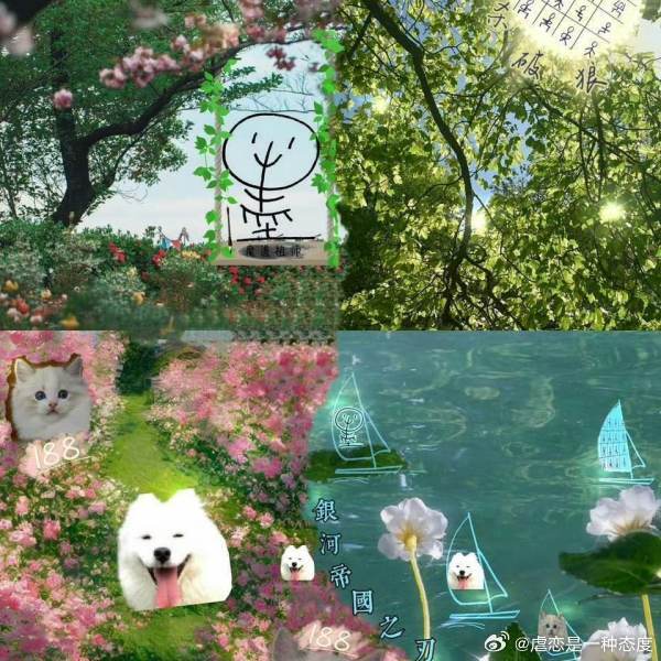 这个头像太可爱了，啥时候重新用一次呢 
