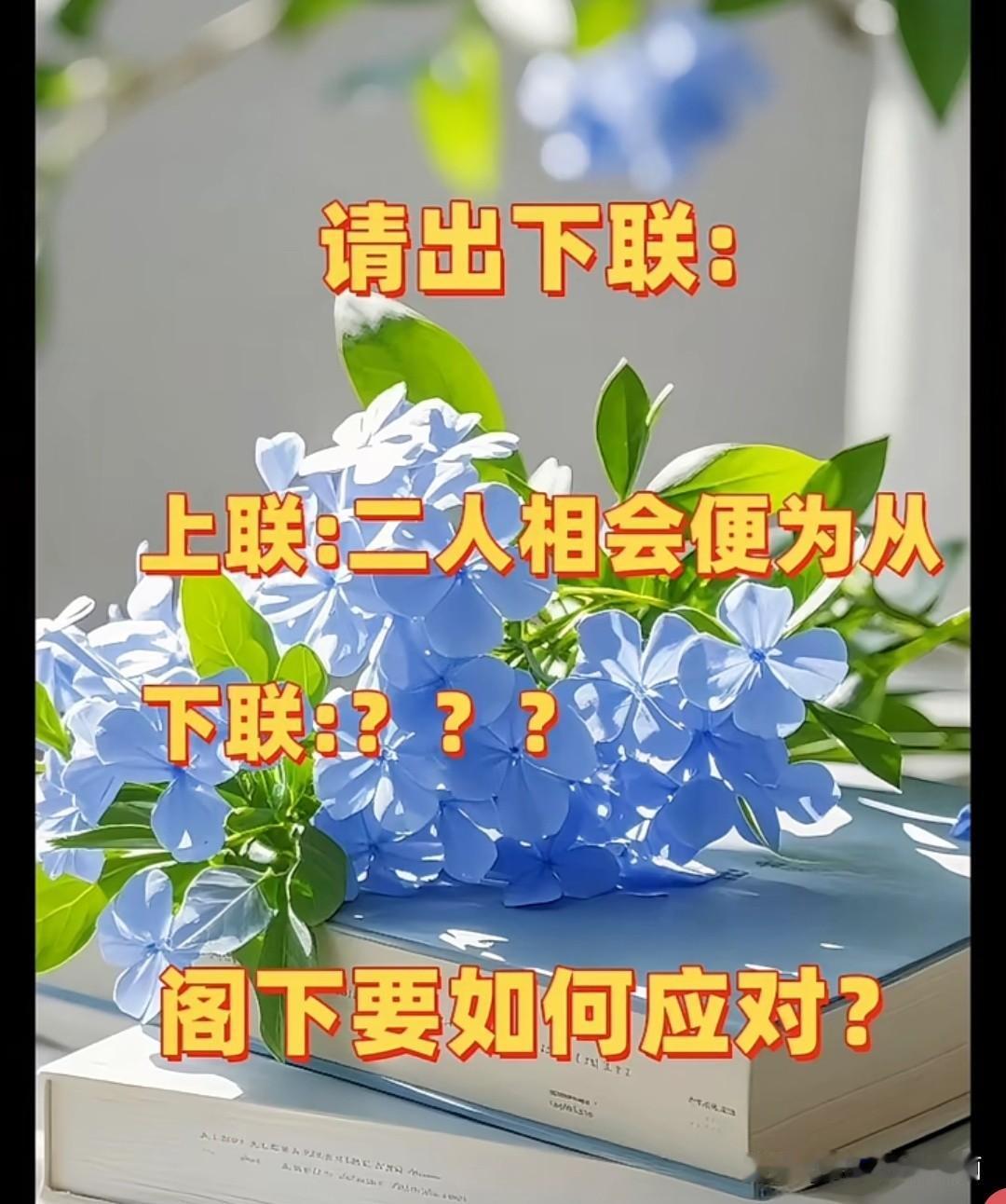 这个对联 问了120个人了

至今无人对出下联

上联是：二人相会便为从

那么