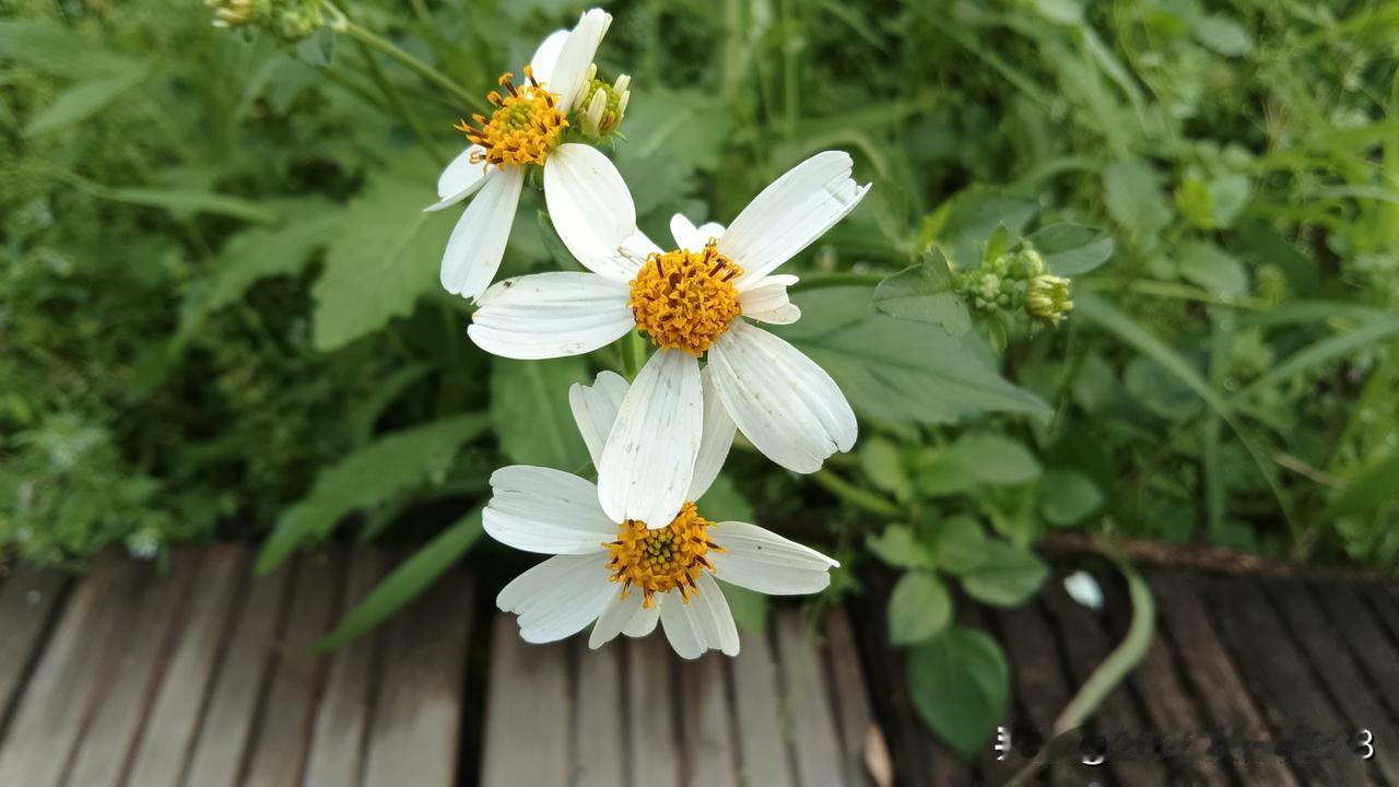 一个药店店员说:这个月领了10年来的最低工资，这个工作已经到了辞职不带一点后悔的