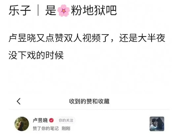 卢昱晓继收藏和檀健次相关双人视频后，又点zan了和檀健次的双人视频，她这是在干什