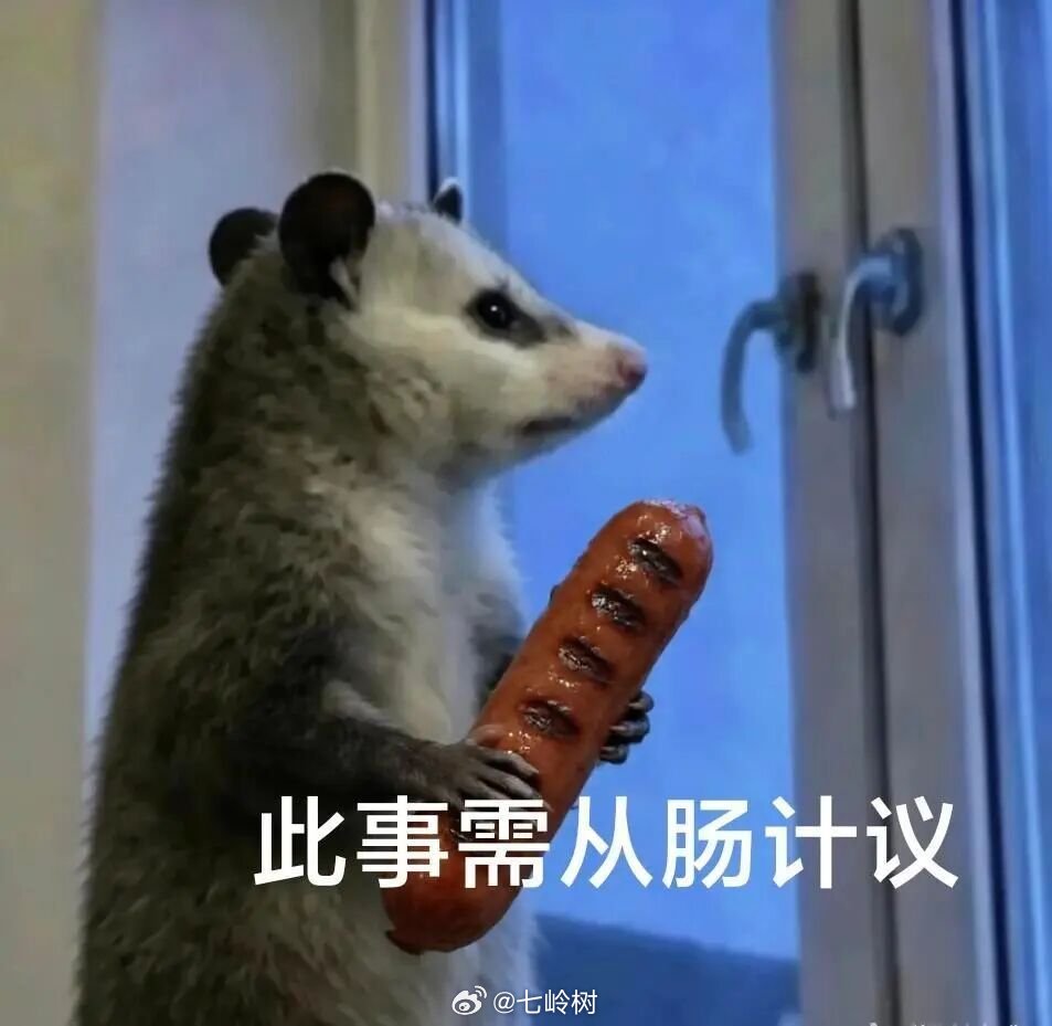 看了一集翘楚其实半集就给我看崩溃了画面是美的就是我抓破头也想不明白，他们的行为逻