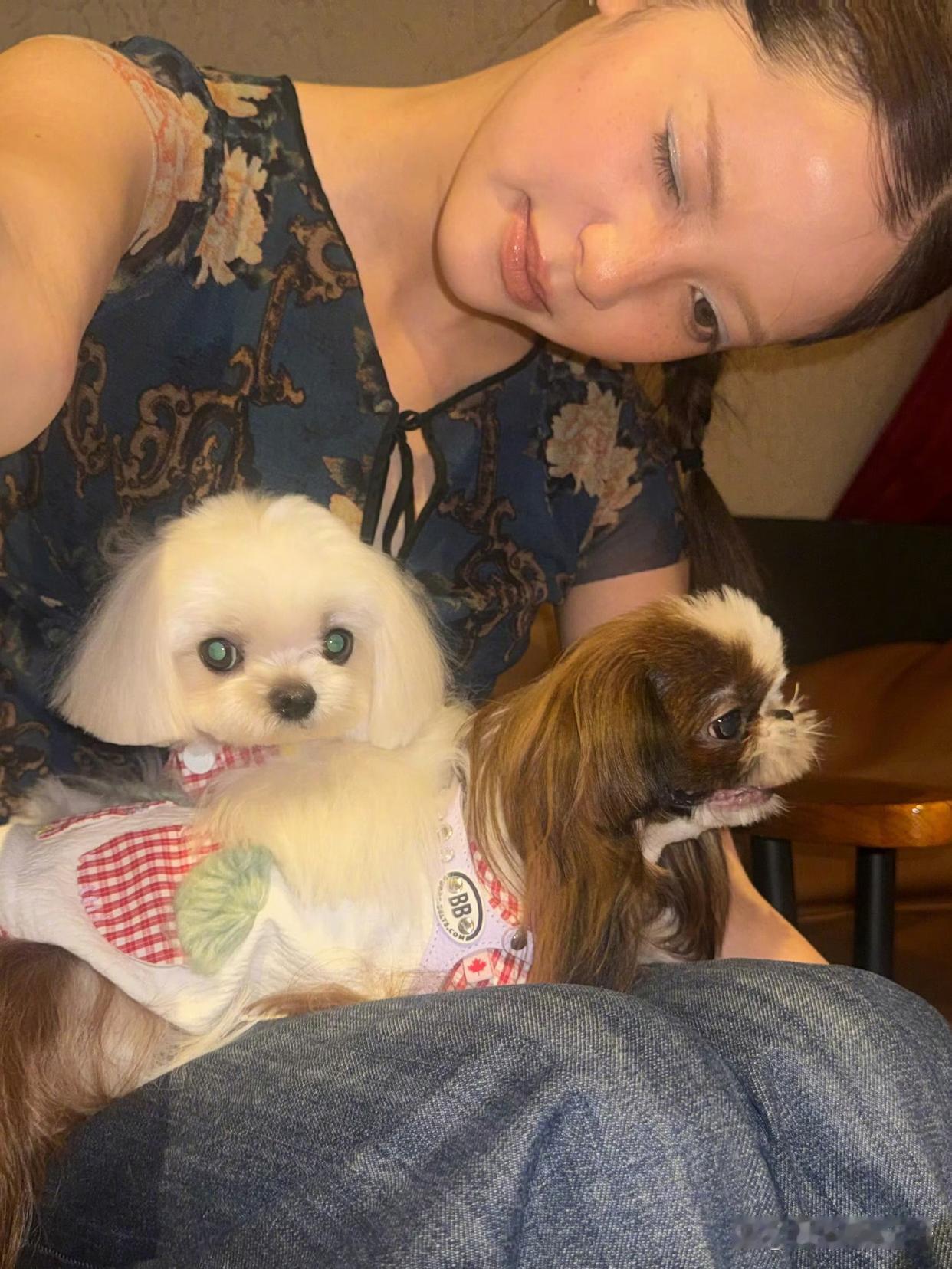 1.许嵩很喜欢逛街购物，恋情也是在商场拍到被曝光的，在街上即便全副武装也会被铁粉