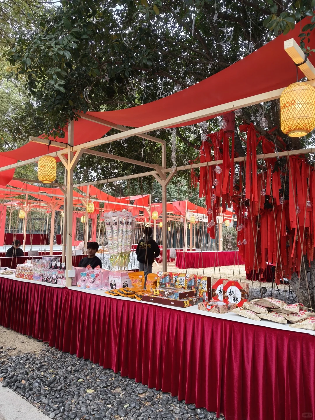 新年🎉来南昌❗邂逅神㊙️三星堆
