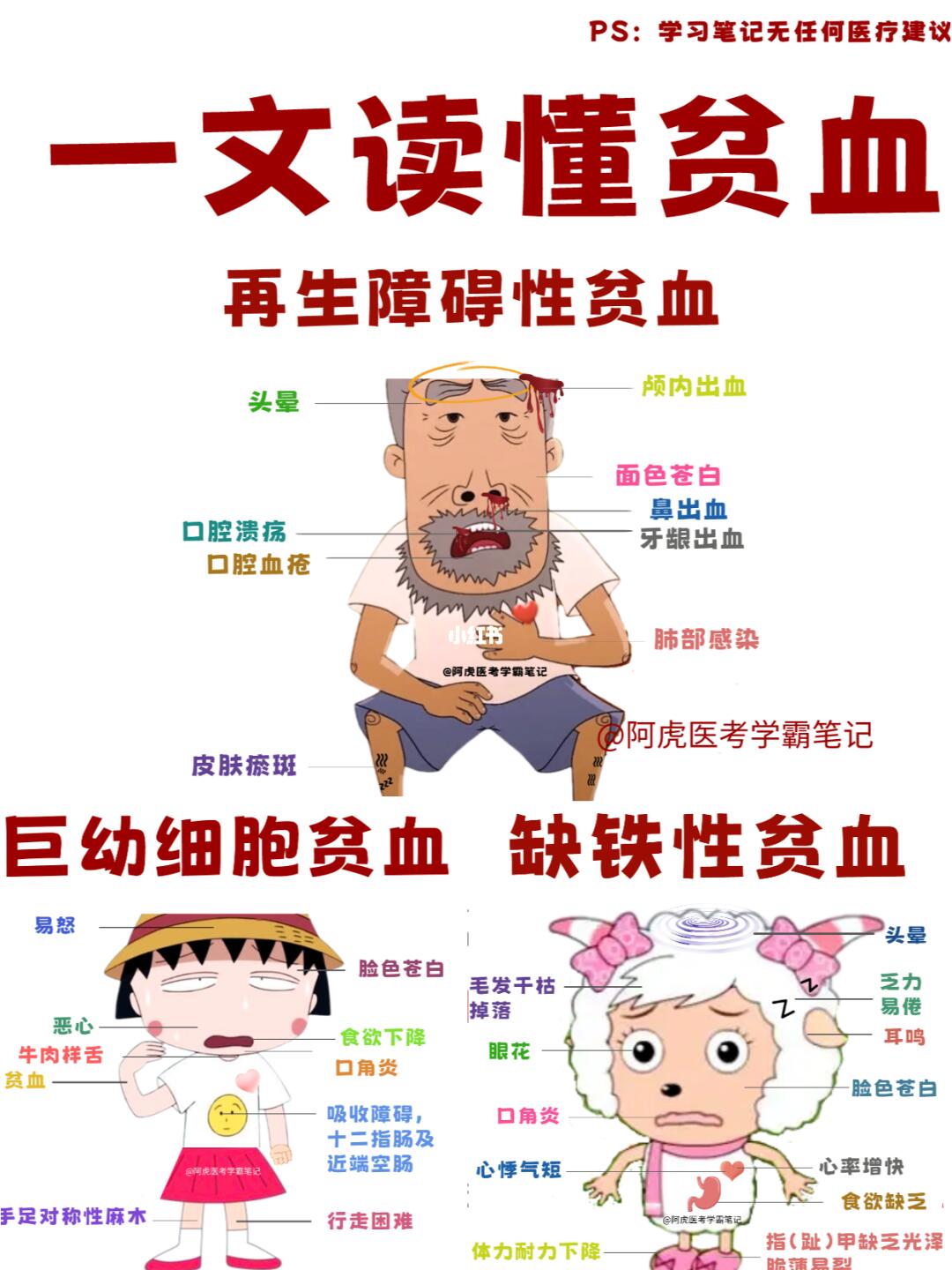 阿虎医考学霸笔记📒：文读懂贫血👆