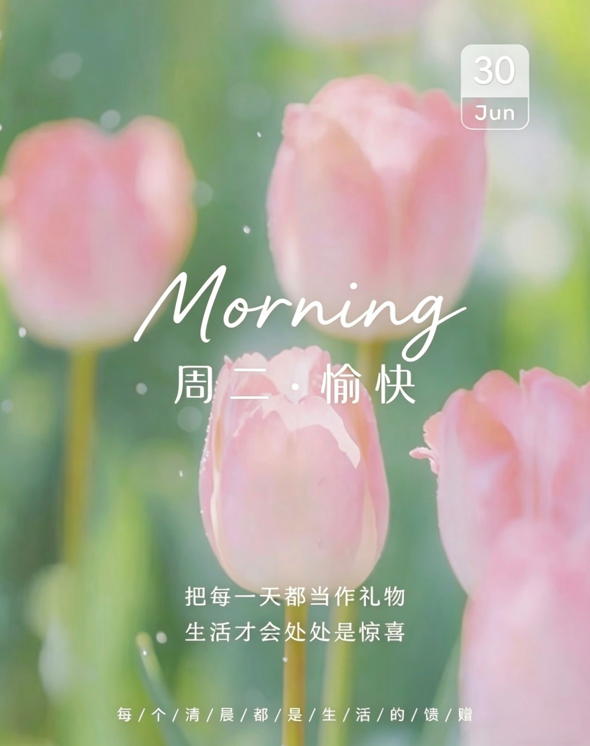 晨光为序，好运为章，带着热忱奔赴今日，把每一天都当作礼物，生活才会处处是惊喜。六