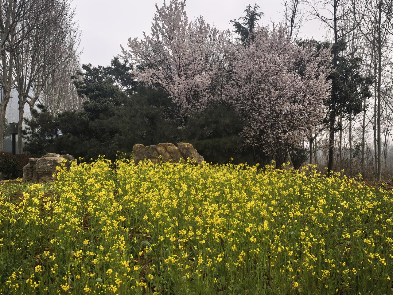老师一句鼓励话，改变的可能是孩子一生
十天前，孩子数学老师在班级群里说，如果哪位