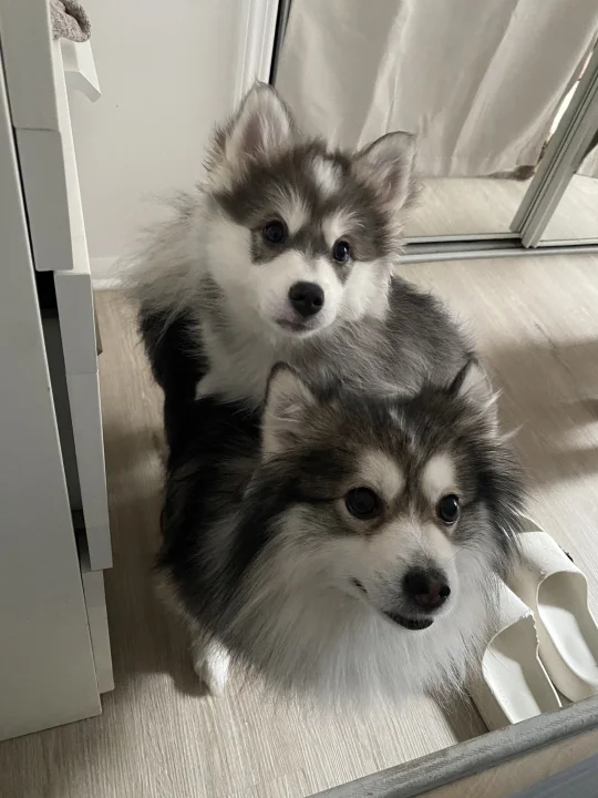 “人！该起🛏️了！”