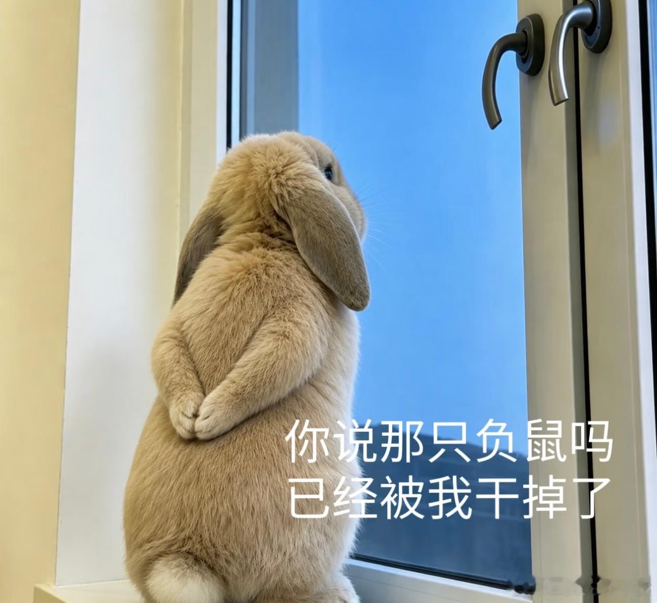 昨天画画了，但是画到一半ipad内存炸了，图炸没了，现在就是一个正在等新ipad