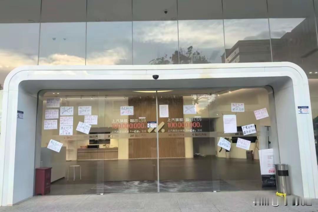 以后新能源汽车会大面积倒闭，小众品牌没有体验感，买的人少没有盈利的企业都将成为新